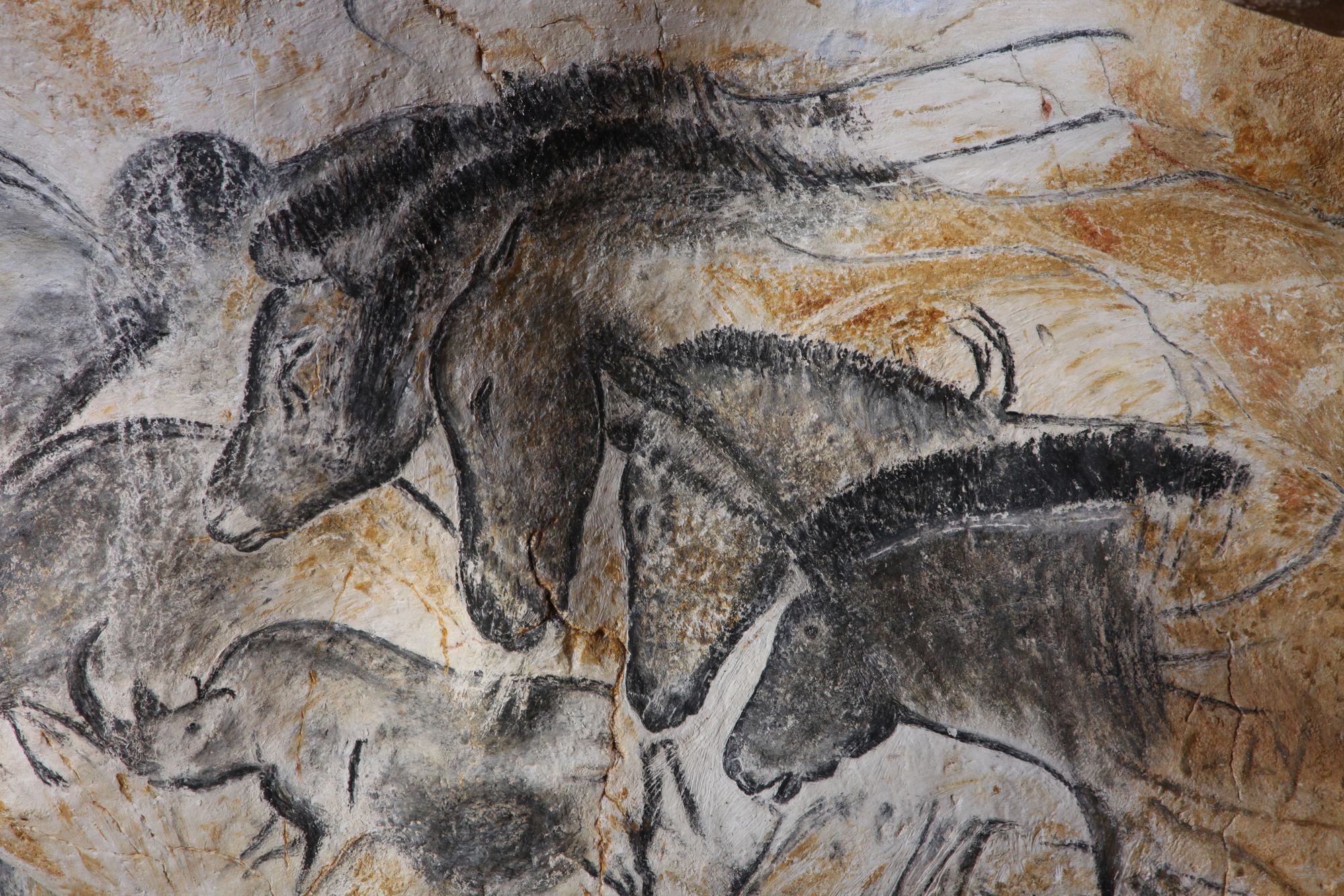 Prehistoric cave painting of horses, Grotte Chauvet, France