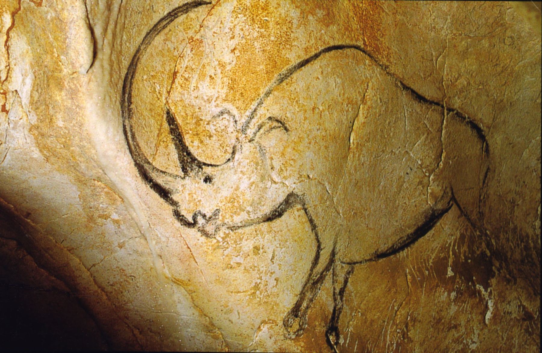 Prehistoric painting of a rhinoceros, Grotte Chauvet, France